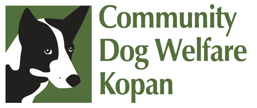 Community Dog Welfare Kopan – Community Dog Welfare Kopan
