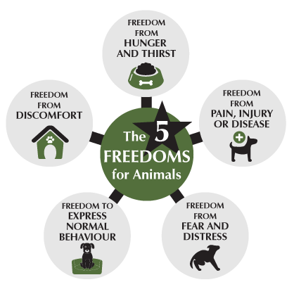 communitydogwelfarekopan-5-freedoms
